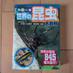 世界の昆虫大百科　昆虫　本　虫　カラー