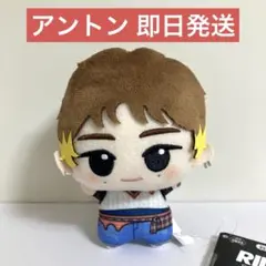 2026年最新】アントン ぬいぐるみ 公式の人気アイテム - メルカリ
