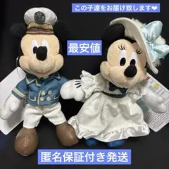 ディズニーシー　25周年　ぬいぐるみバッジ　ミッキー　ミニー　テーマポート