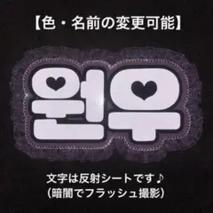 オーダーネームボード SEVENTEEN セブチ ウォヌ ネムボ 反射シート