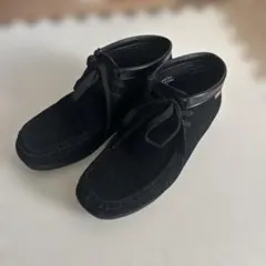 Item thumbnail for item 10818a82-4295-428f-aa89-d1bf11d16072