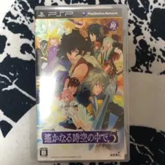 遙かなる時空の中で 5