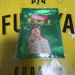 EBiDAN 超特急 ALOHA アクキー