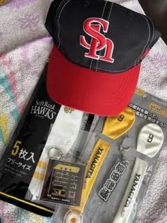 Item thumbnail for item 2b839b81-933c-4058-8617-1f1ae32c1b55