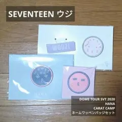 SEVENTEEN ウジ ネームワッペンバッジセット SVT HANA他