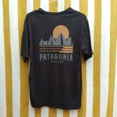 Patagonia オーガニックコットン 両面 プリント 半袖 Tシャツ黒