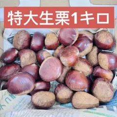 はる様 リクエスト 2点 まとめ商品