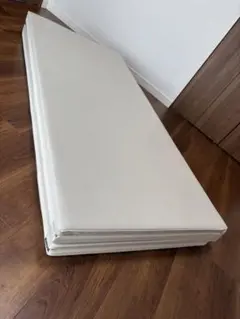 Item thumbnail for item 2398b035-3aca-4e78-8711-604bdf561ff2