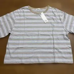 GU プロフィットT XL ベージュ 水色　マルチボーダー