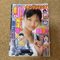 Item thumbnail for item ac3e8224-d559-4e0d-b521-c67b78ef024c