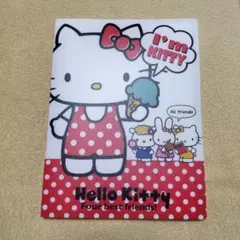 ハローキティ 写真入れ　ファイル　©1976.2009　昭和平成レトロ　激レア