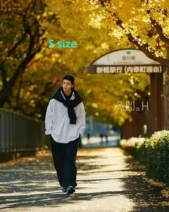 新品未使用BEAMS別注　ポロラルフローレン