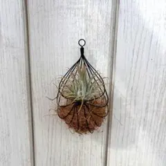 Item thumbnail for item 8ecd9e08-024c-4a96-b3ac-7c67b183ced1