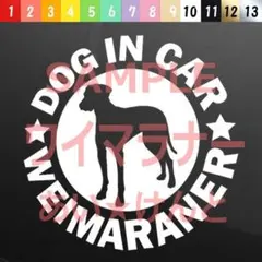 Item thumbnail for item 7950602c-1ac5-4baf-8787-d18a77122354