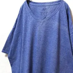 フルーツオブザルーム 無地 Tシャツ ブルー 青 2XL 古着