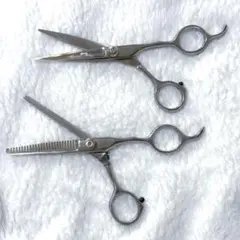 Item thumbnail for item 9f84282e-e619-44b7-b7ec-e2fe7fc0b8b4