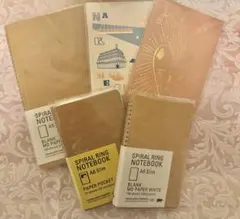 Item thumbnail for item 77d85618-9bf2-4d25-a171-9143382f2692