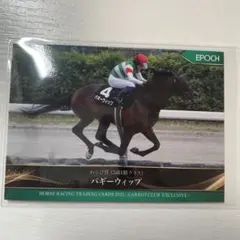 競馬　【非売品】ヘデントール　キャロットクラブ　ホースレーシング　トレカ 競馬 【非売品】ヘデントール キャロットクラブ ホースレーシング