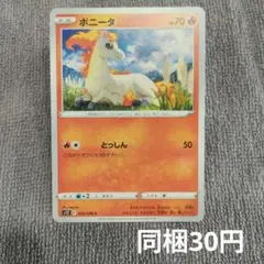【在庫1】ポニータまとめ買いのサムネイル