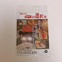エヴァンゲリオン 限定 ウエハースカード 碇シンジ アスカ