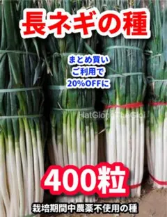 みほ様 リクエスト 9点 まとめ商品