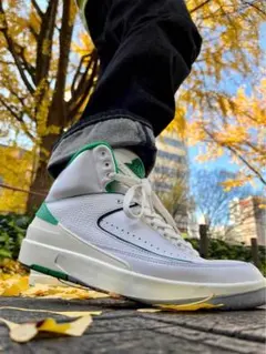 AIR JORDAN 2RETRO ラッキーグリーン