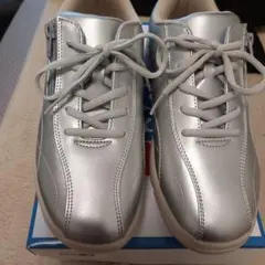 Item thumbnail for item 6415e360-5590-48e8-bccc-35a4985e6661