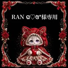 RAN ଘ♡ଓ*様専用