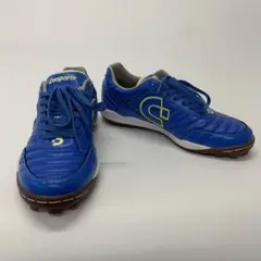 Desporteテッサライト/20周年記念モデル25.5cm - メルカリ