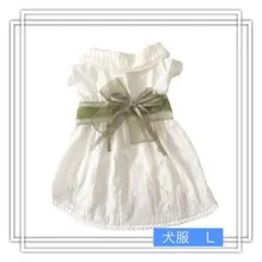 Item thumbnail for item 5688d727-de3b-4212-a3ef-27a0b8ed1245