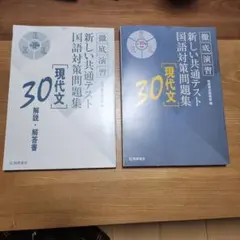 徹底演習 新しい共通テスト国語対策問題集 [現代文] 30桐原書店 解答付き