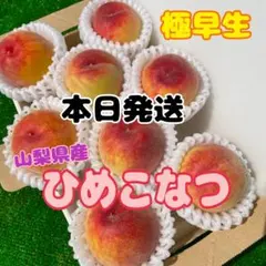 hm53 山梨県産　極早生　ひめこなつ　桃　箱込み800g