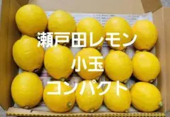 瀬戸田レモン　小玉コンパクトのサムネイル
