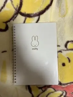 Item thumbnail for item 60b286b8-56b8-4c37-a2b4-d01224df8059