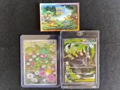 ポケモンカリキリAR/メガダークライEX SRセット+Bonus stickerのサムネイル
