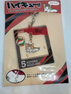 ハイキュー‼︎ チャーム付アクリルキーホルダー 孤爪研磨