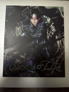 &TEAM Back to Life ソロ版　FUMA