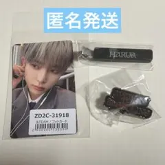 &team HARUA ハルア カプセルトイ