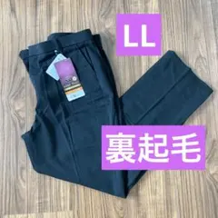 裏起毛 オフィス