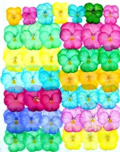 Item thumbnail for item c510ff44-da1e-4f04-ba69-72560b91725c