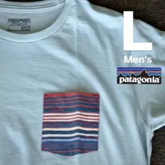 patagonia パタゴニア ポケットTシャツ　メンズLサイズ