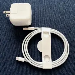 Apple純正 10W USB Power Adapter ケーブル付