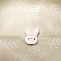 a-m様専用