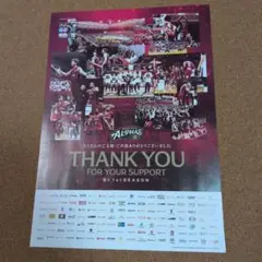バスケ　KOSHIGAYA ALPHAS 　アルファーズ　　チラシ　2枚