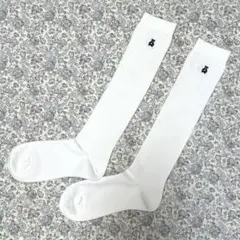 Item thumbnail for item e2262dfc-6baf-418d-9501-bb2f9a5b98f5