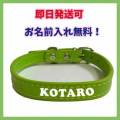 Item thumbnail for item cb4d188b-9777-4479-9e2f-c74eed7e6f74