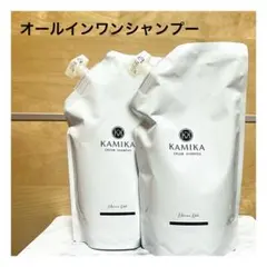 【新品】KAMIKA オールインワンクリームシャンプー 600g×2点セットのサムネイル