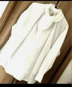 Item thumbnail for item dfee819e-2cc6-4ab6-b91d-c280e2bbf824