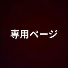 専用ページ