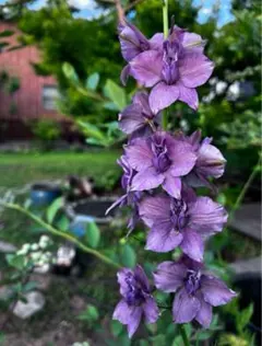 YURI@ねこずき様 リクエスト 3点 まとめ商品